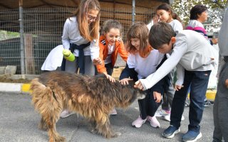 BEYLİKDÜZÜ’NDE PATİLİ DOSTLAR MUTLU