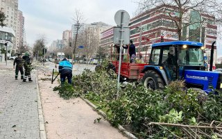 BEYLİKDÜZÜ YAZ AYLARINA HAZIRLANIYOR